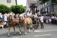 IMG_6151 (2) 